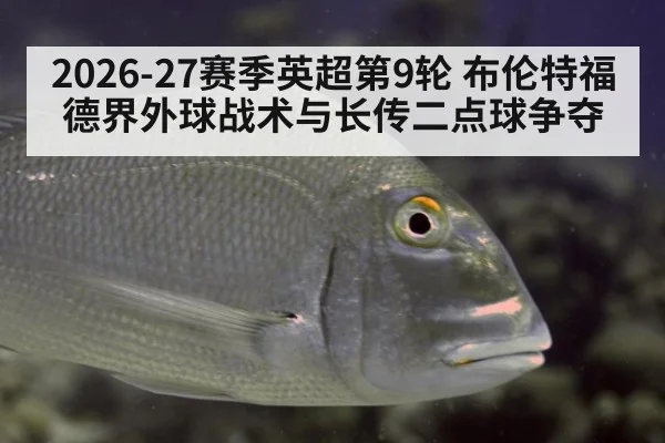 2026-27赛季英超第9轮 布伦特福德界外球战术与长传二点球争夺